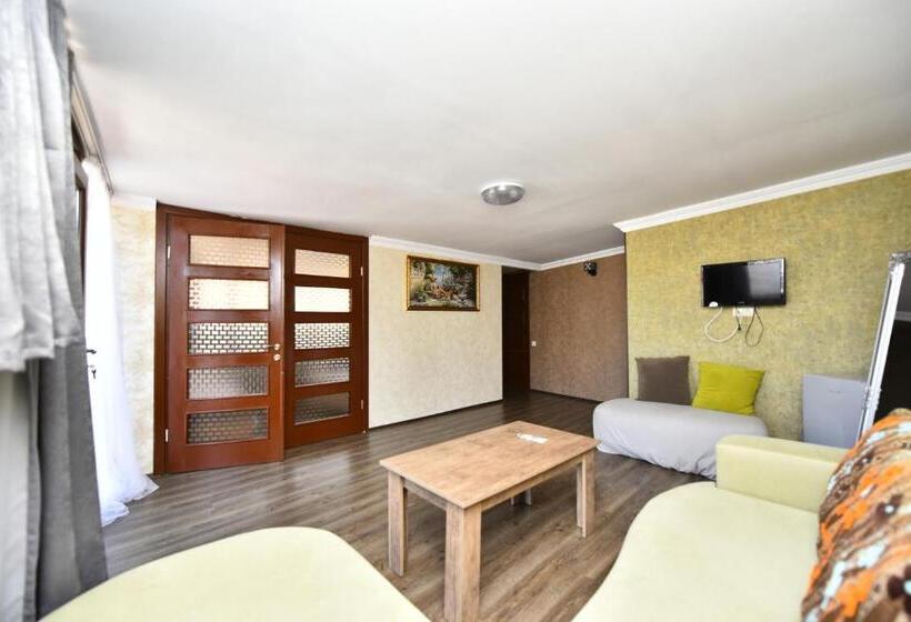 Suite with Terrace, Paliashvili