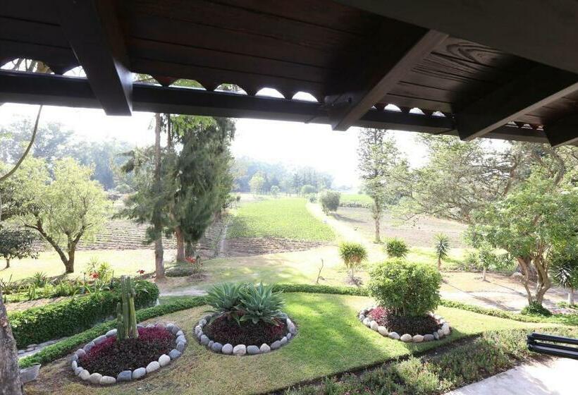 스탠다드 룸, Hosteria Totoral