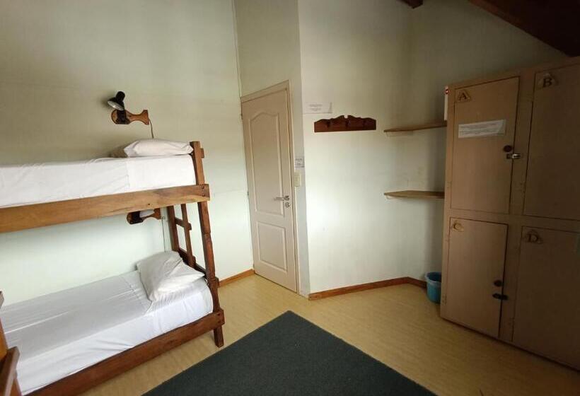 מיטה בחדר משותף, Patagonia Hostel