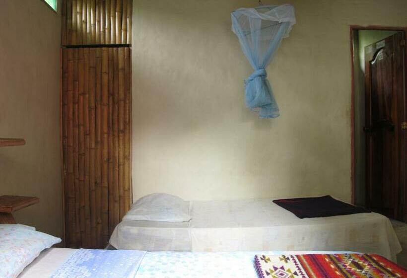 스탠다드 싱글 룸, Hostal Mamacucha