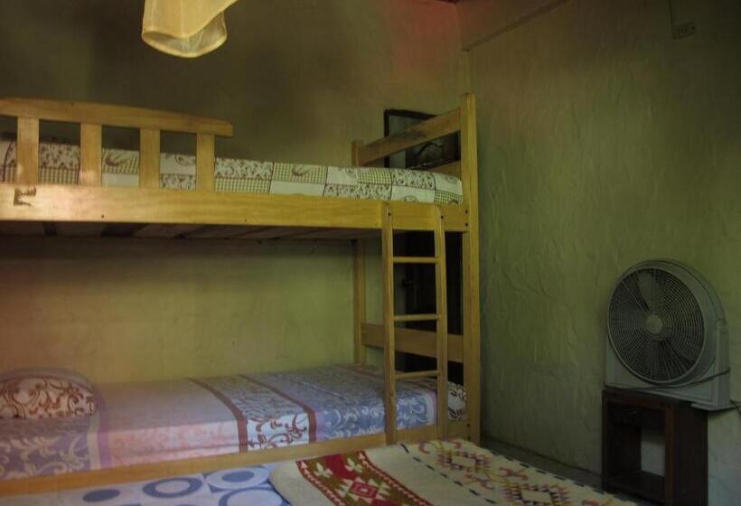 스탠다드 발코니 룸, Hostal Mamacucha