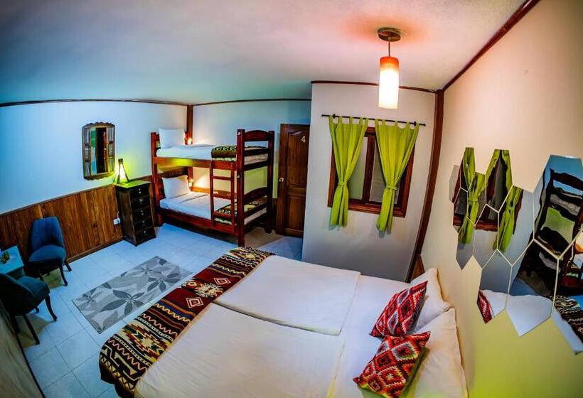 חדר סטנדרט עם מיטת קינג, La Casa Del Molino Blanco B&b