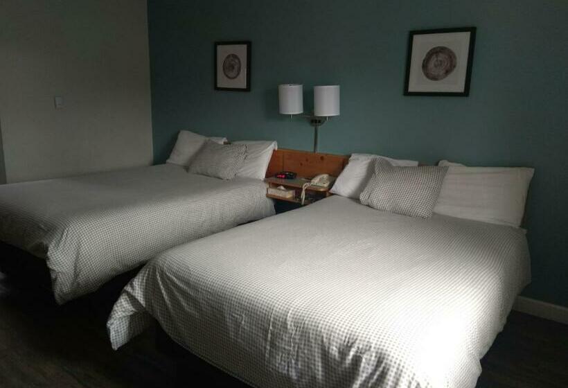 标准间, Fireweed Motel