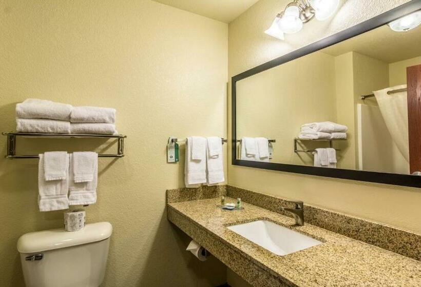 스탠다드 룸, Cobblestone Hotel & Suites – Devils Lake