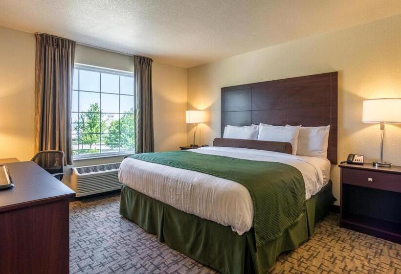 장애인을 위한 스탠다드 싱글 룸, Cobblestone Hotel & Suites – Devils Lake