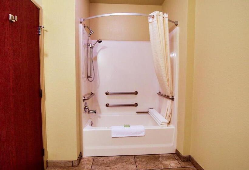 장애인을 위한 스탠다드 룸, Cobblestone Hotel & Suites – Devils Lake