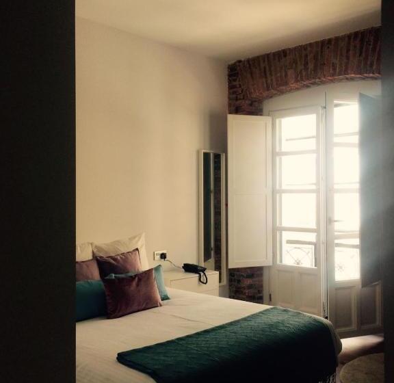 חדר סופריור, Hostal Albany Ancha