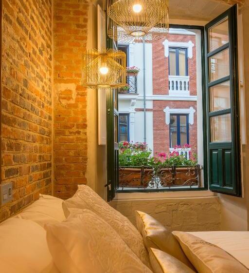 חדר סופריור, Hostal Albany Ancha