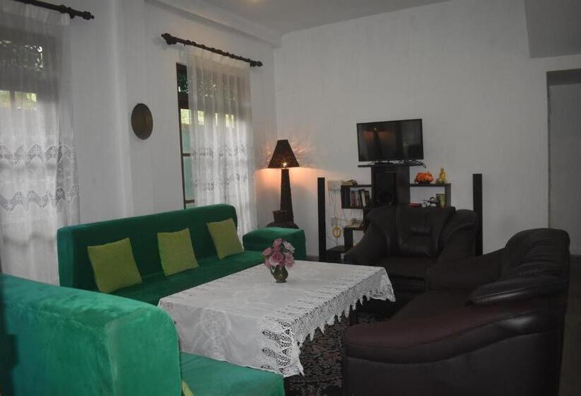 豪华三人间, Andy Homestay Units