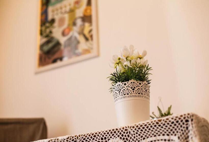 اتاق استاندارد, B&b Liola