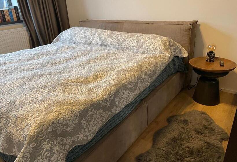 اتاق استاندارد, Room In Private House