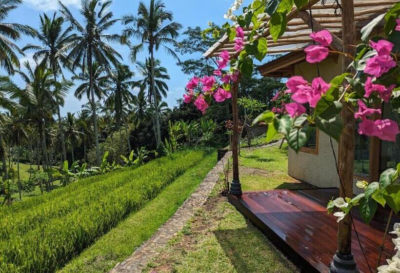 Номер Deluxe, Puri Dajuma Terrace Eco Lodge & Spa