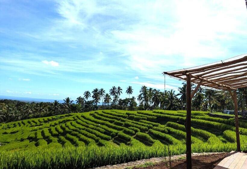 Номер Deluxe, Puri Dajuma Terrace Eco Lodge & Spa