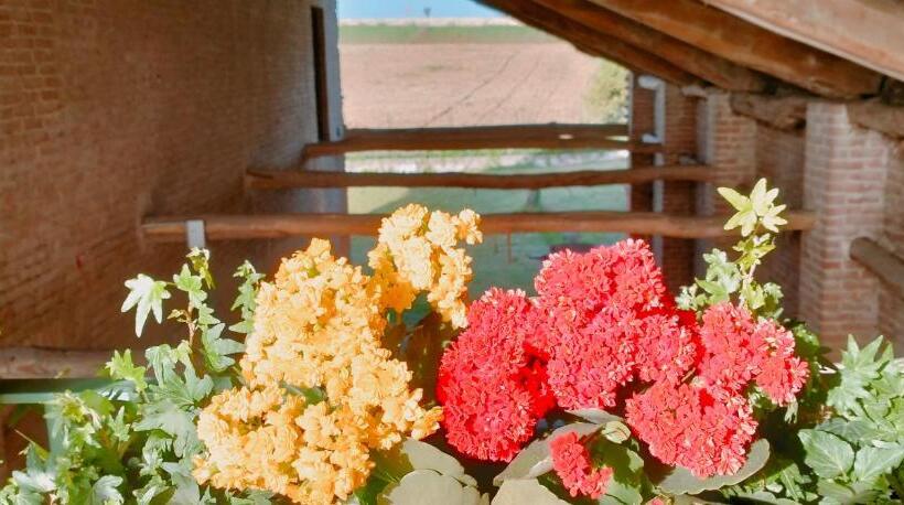 バルコニー付きスタンダードルーム, Bed & Breakfast Barbera E Tulipani
