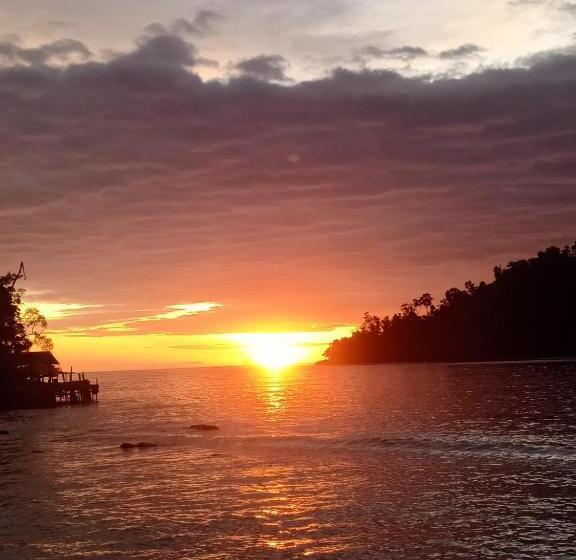 이코노미 룸, Pamutusan Island