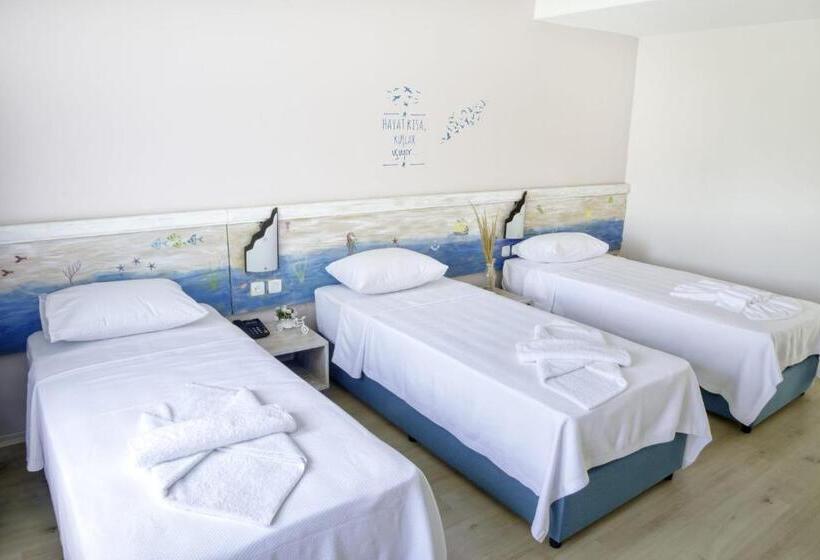 اتاق استاندارد با چشم‌انداز دریا, Pedasos Altinel Otel