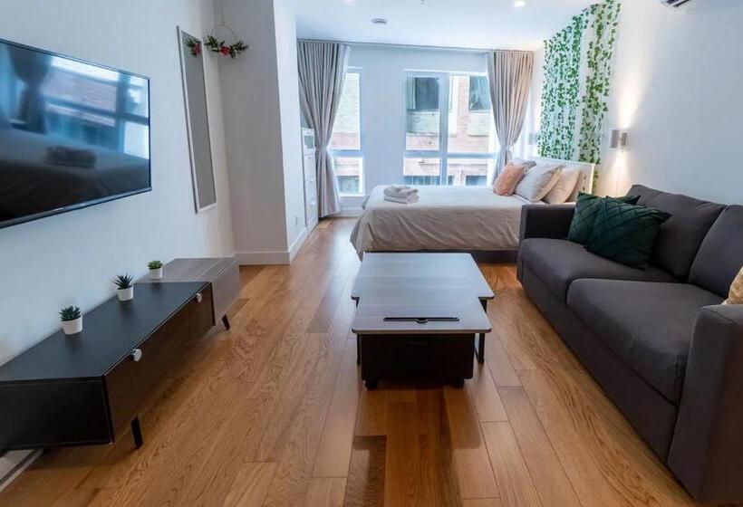 سوییت جونیور, Rozenhaus Montreal