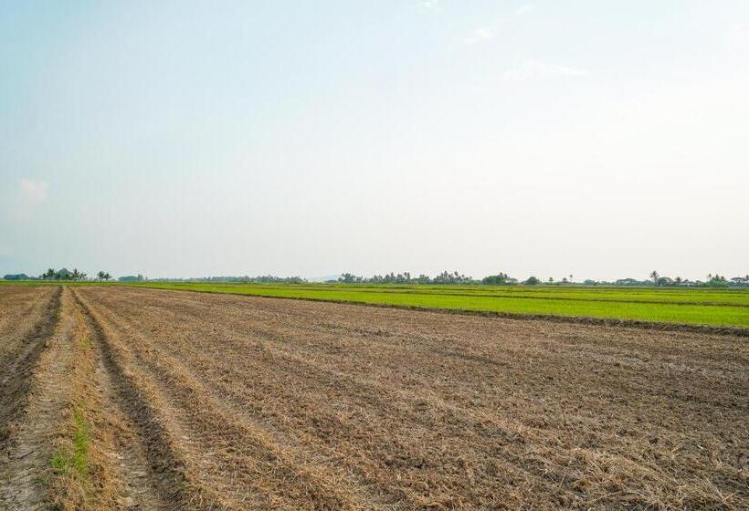 Шале 1 Спальня, Dangau Sala D Kontena