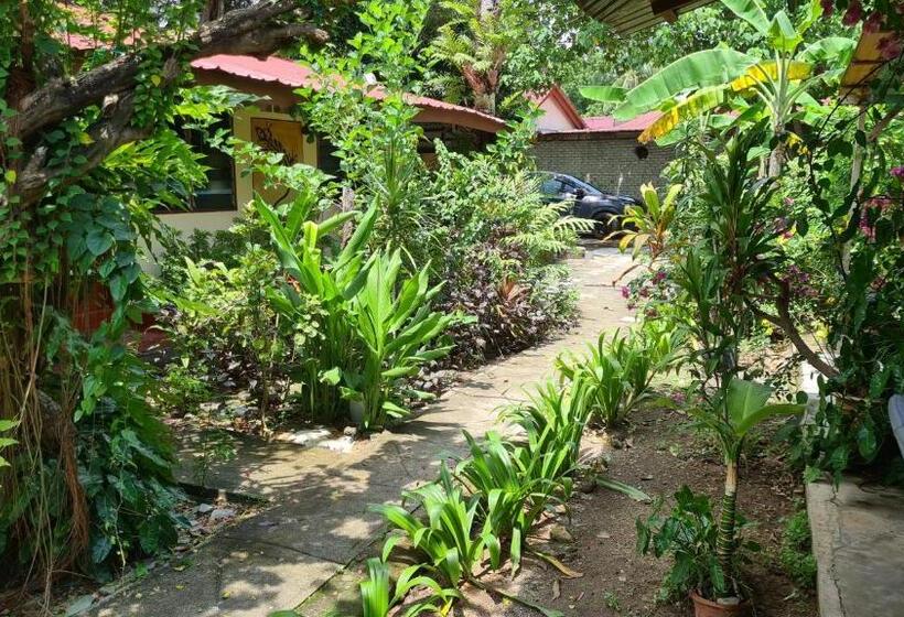 اتاق استاندارد با سرویس بهداشتی مشترک, Gecko Guesthouse