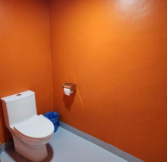 اتاق لوکس خانوادگی, Gecko Guesthouse