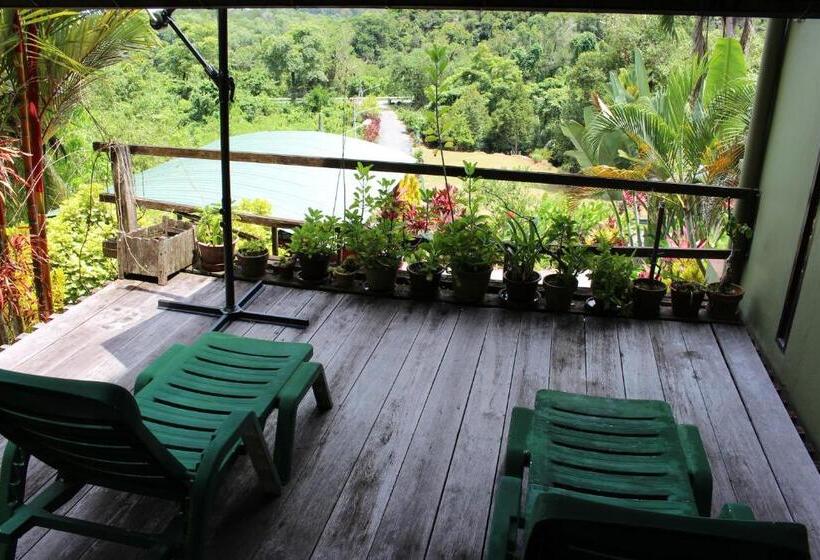 Номер Стандарт с Террасой, Nanga Damai Homestay