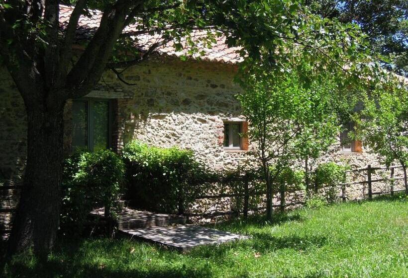 Апартаменты 1 Спальня Вид на Сад, Torre Camigliati Dimora Storica