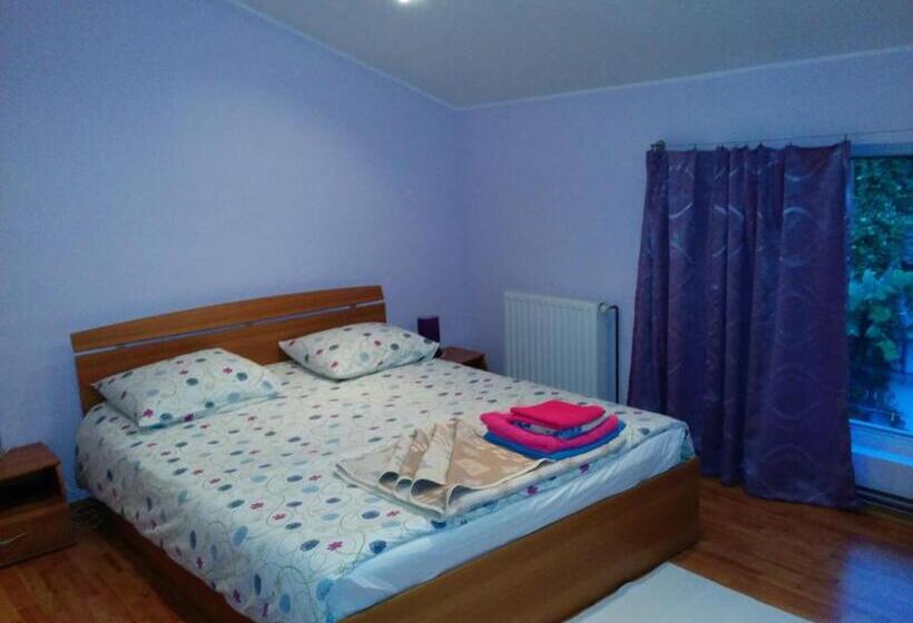 Номер Стандарт, Pension Casa Anadam