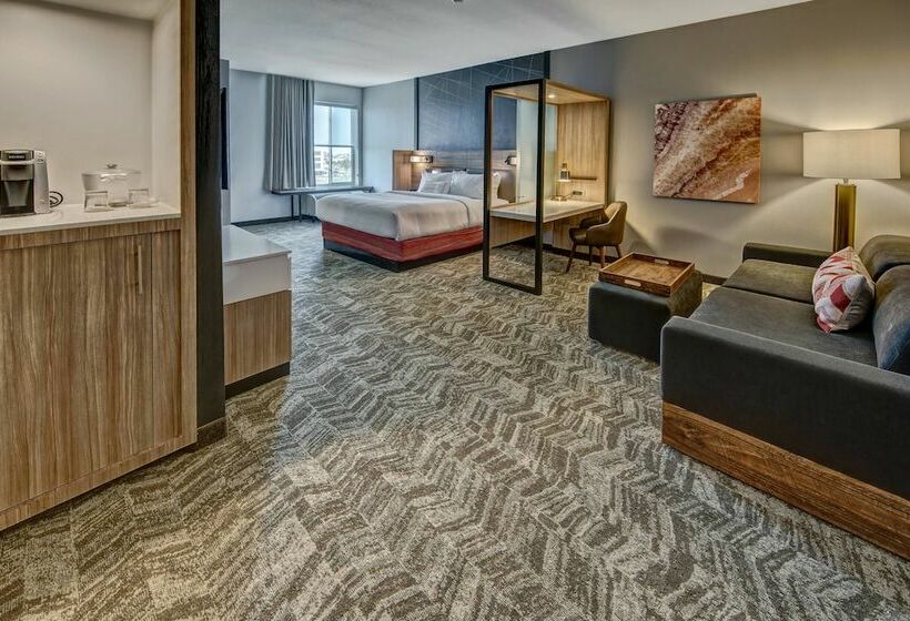 Люкс, Springhill Suites By Marriott Amarillo