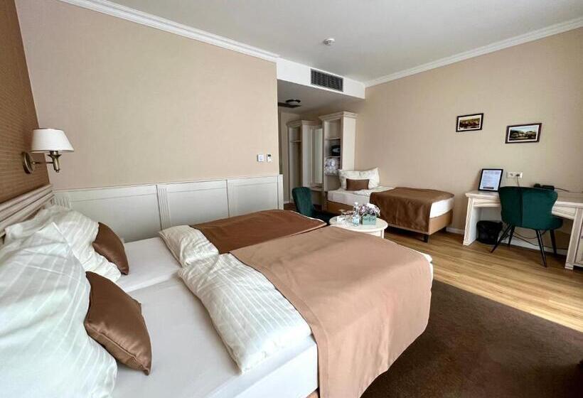 Номер Superior, Wellness Hotel Pivovar Monopol