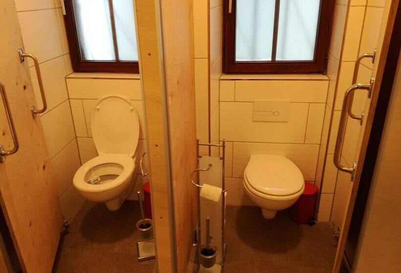 Кровать в Общей Комнате, Hostel Bad Goisern