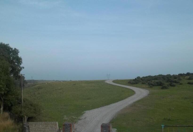 스탠다드 룸, The Curragh Country House Accommodation