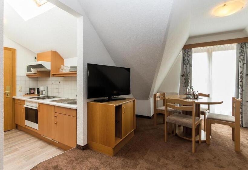 آپارتمان 1 خوابه با بالکن, Idhof