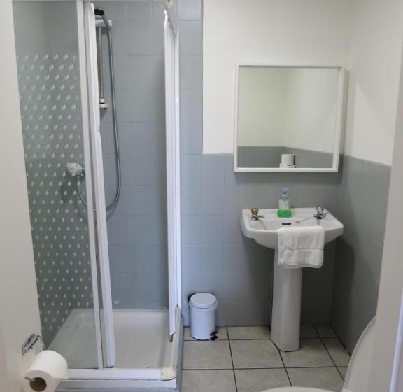 Номер Стандарт Трехместный, Rougey Lodge Hostel