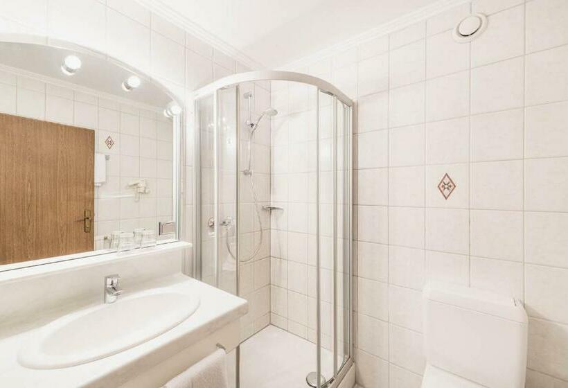 Номер Economy, Living & Spa Vitalhotel Edelweiss
