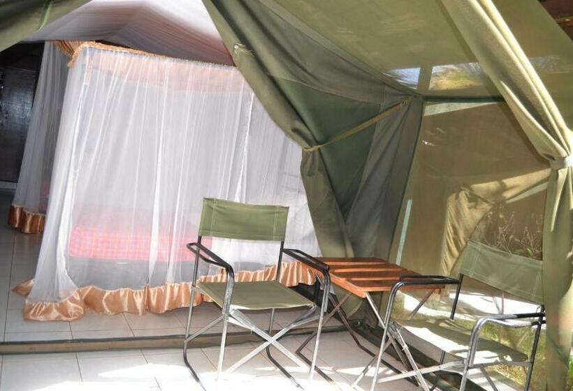 标准单人间, Impala Safari Lodge