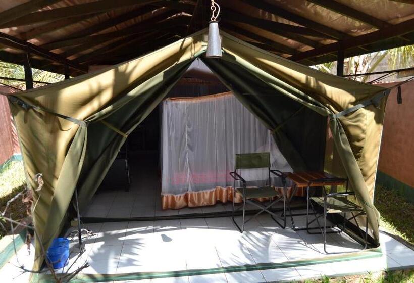 标准间, Impala Safari Lodge