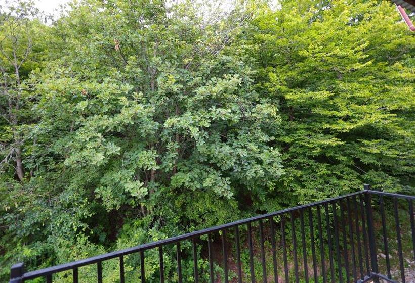 اتاق استاندارد سه نفره, Yeghevnut