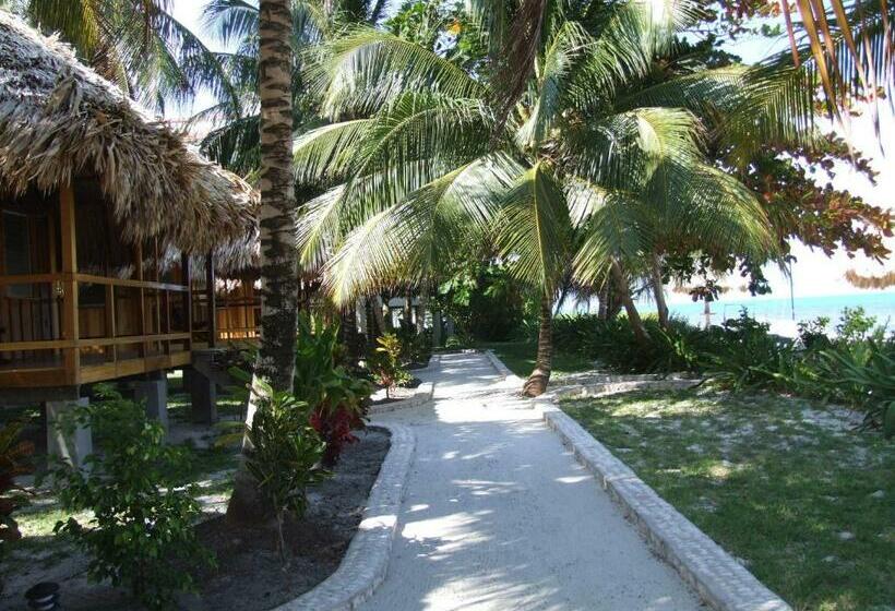 바다 전망 스탠다드 방갈로, St. George's Caye Resort