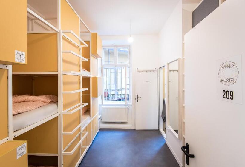 共用房间的床, Avenue Hostel
