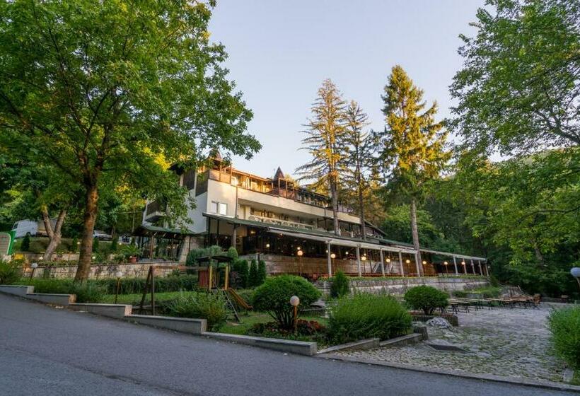 주니어 스위트 발코니, Family Park Hotel Kyoshkove