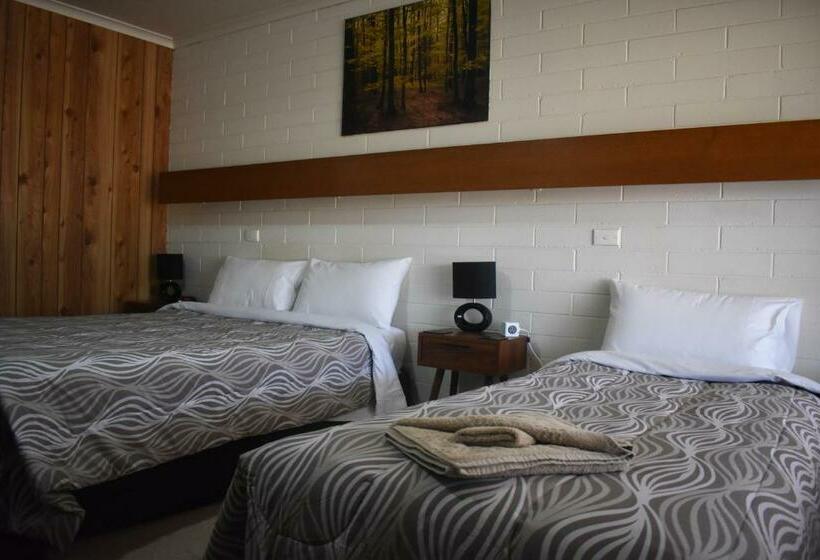 스탠다드 싱글 룸, Orana Motor Inn