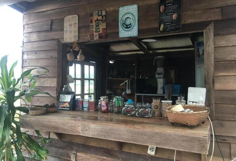 Standard Tent, สวนบ้านนอก Suanbaannoak