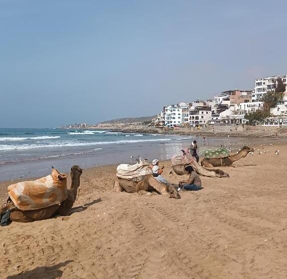 اتاق اکونومی یک تخته, I Surf Morocco