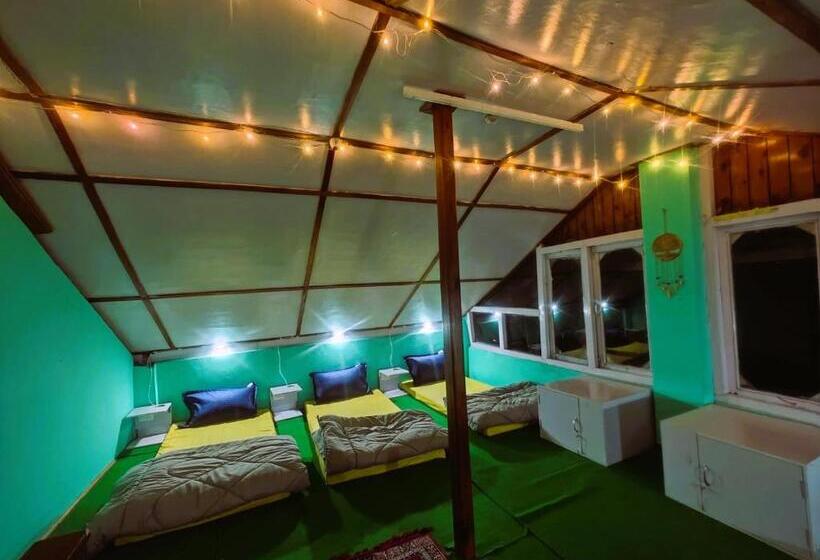 공용 욕실 구비 공동 객실 내의 침대, Vibe Hostel