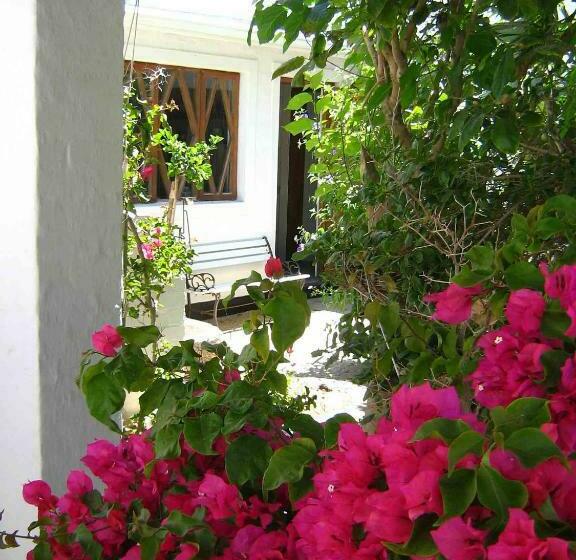 اتاق استاندارد یک نفره, Alternative Space B & B