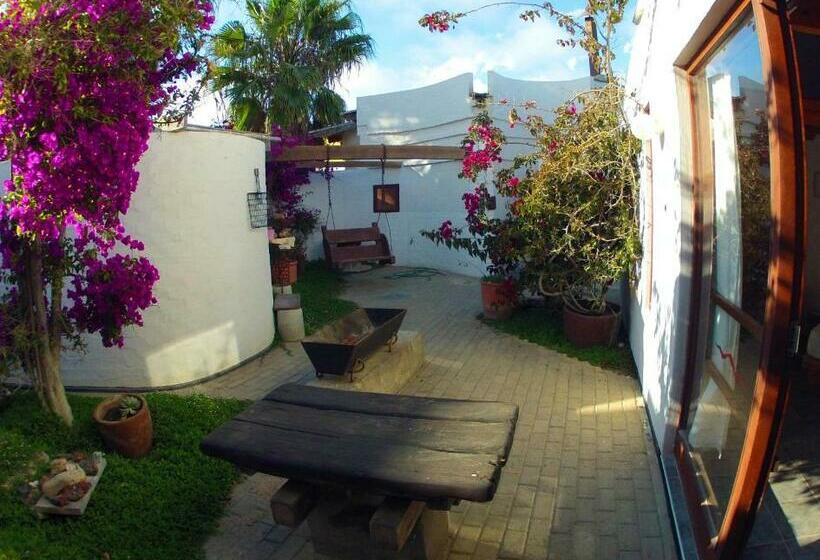 اتاق استاندارد یک نفره, Alternative Space B & B