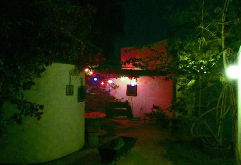 اتاق اکونومی, Alternative Space B & B
