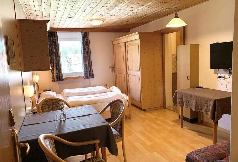 Студия Стандарт, Apparthotel Germania
