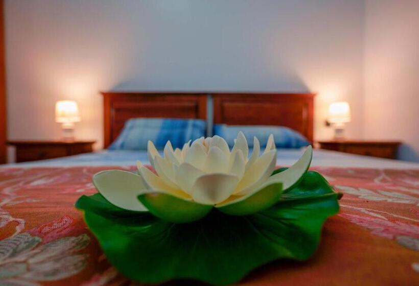 スタンダード４人部屋, Bed And Breakfast Cairoli Exclusive Room