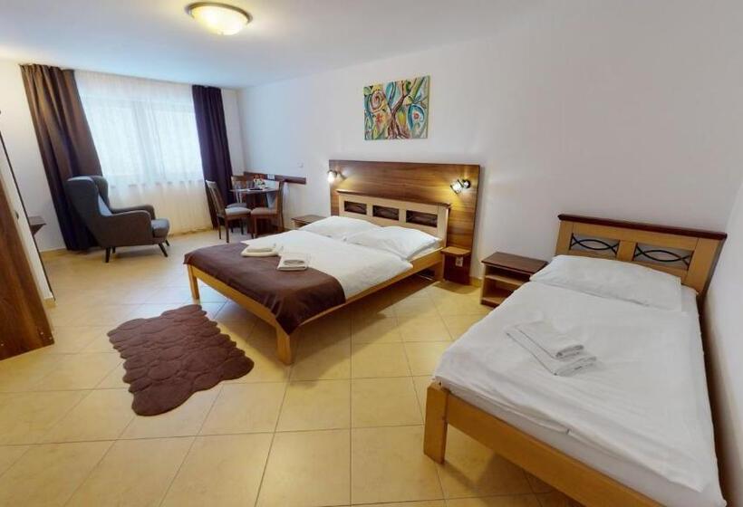 Номер Стандарт Трехместный, Garni Hotel Fatra